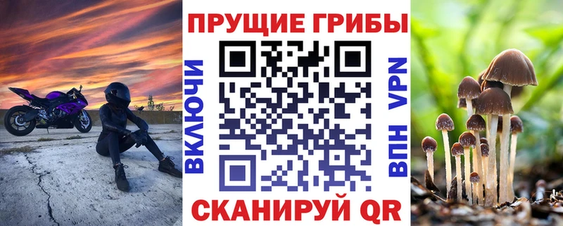 Купить  Иркутск  Псилоцибиновые грибы Magic Shrooms 